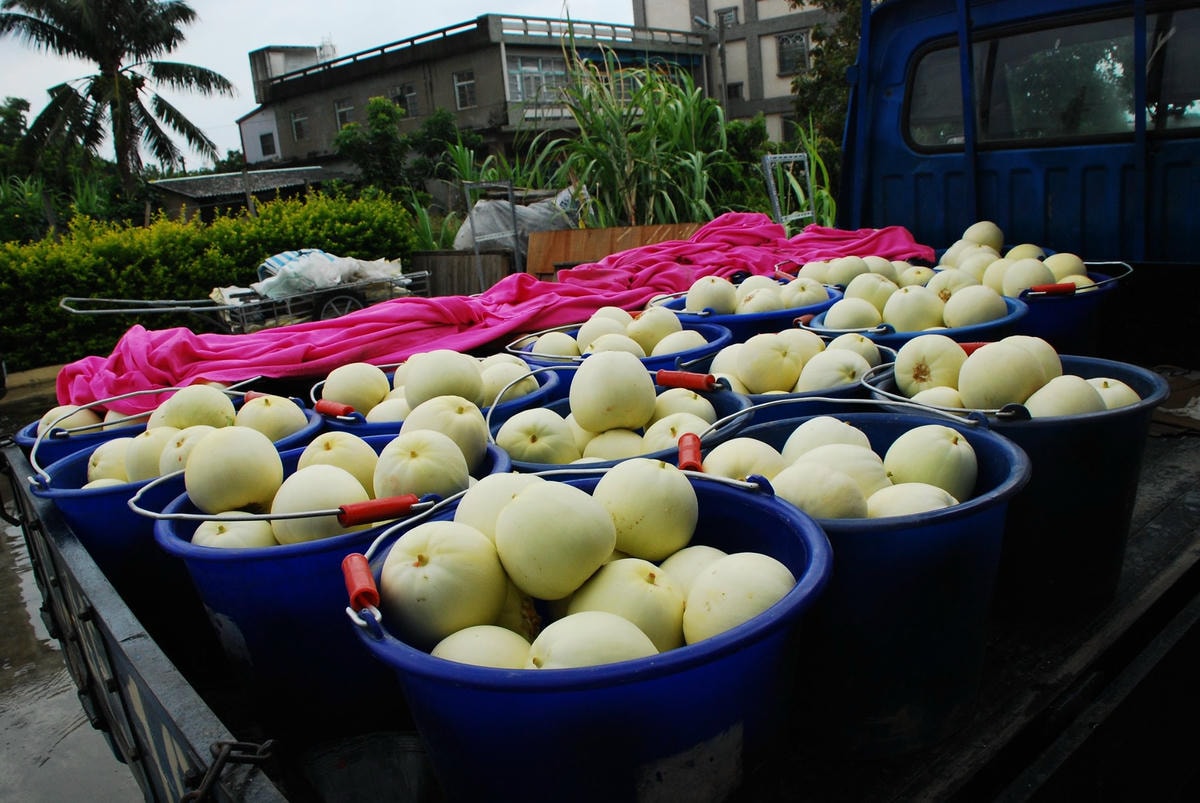 20251027_-20 20251027_-20