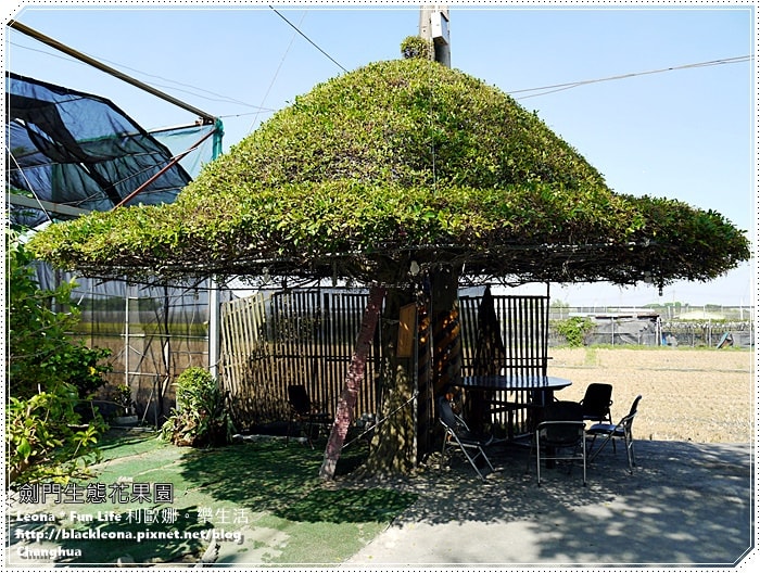 20251027_-273 20251027_-273