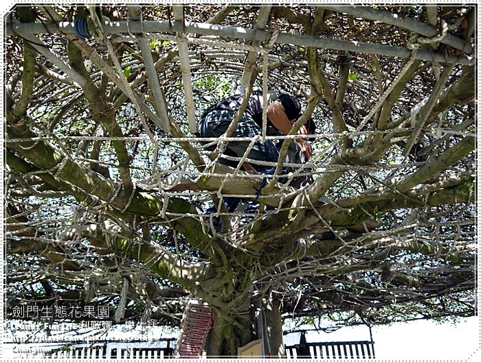 20251027_-274 20251027_-274