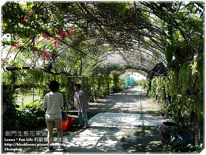 20251027_-275 20251027_-275