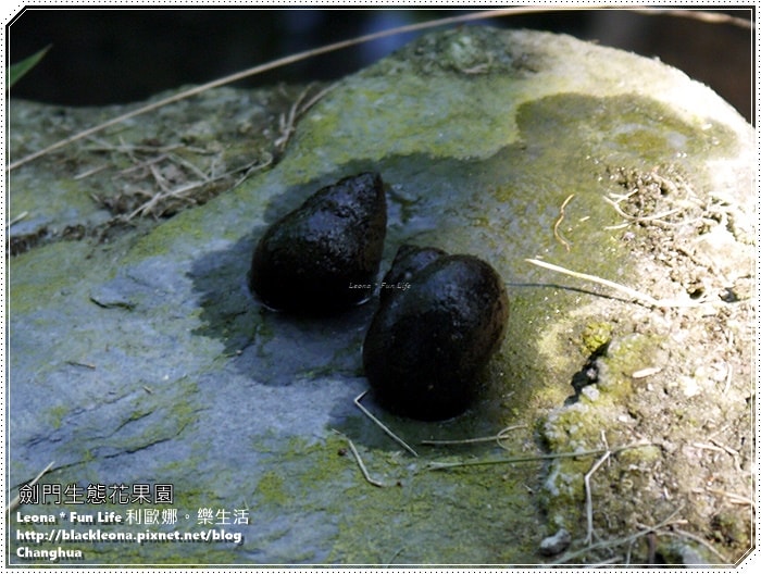 20251027_-277 20251027_-277