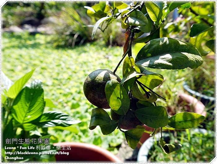 20251027_-278 20251027_-278