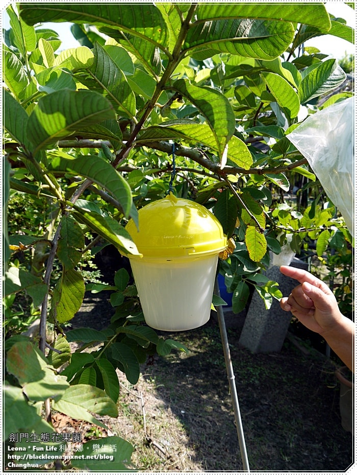 20251027_-279 20251027_-279