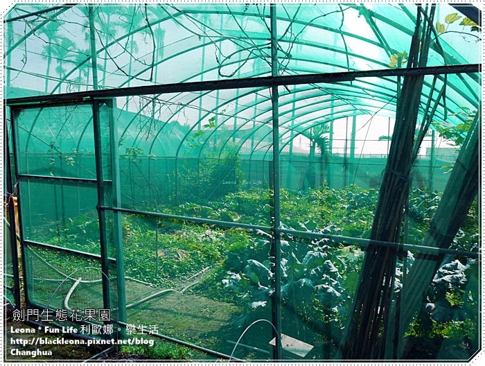 20251027_-280 20251027_-280