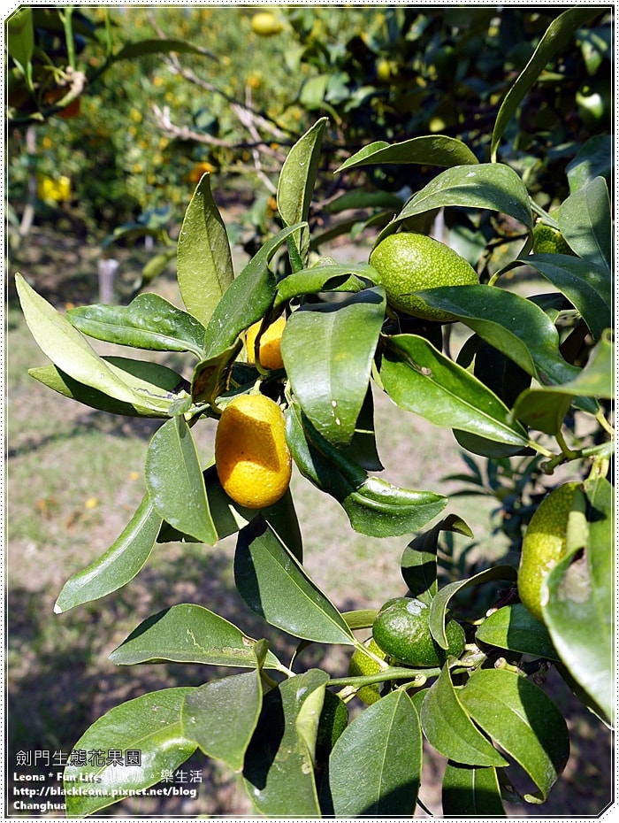 20251027_-281 20251027_-281