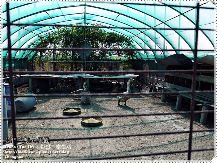 20251027_-282 20251027_-282