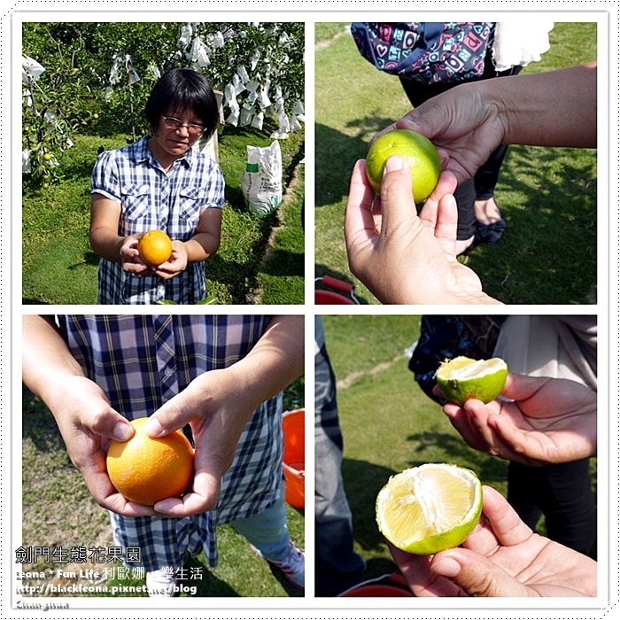 20251027_-283 20251027_-283