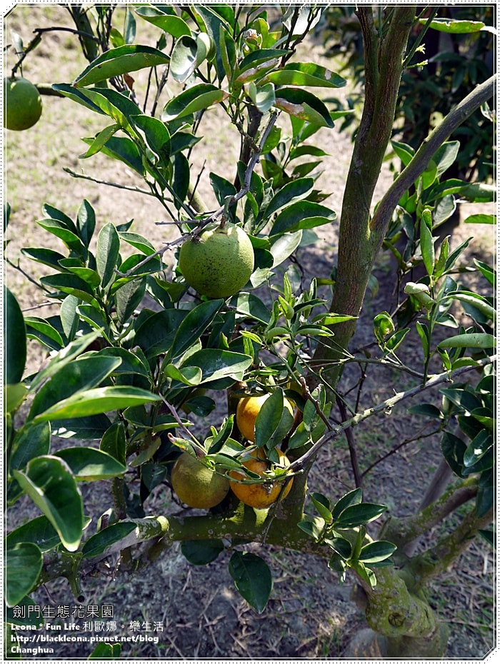 20251027_-284 20251027_-284