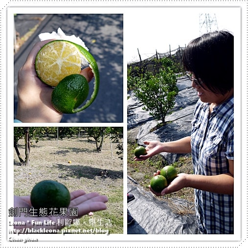 20251027_-285 20251027_-285