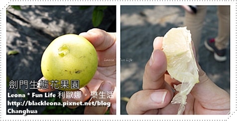 20251027_-286 20251027_-286