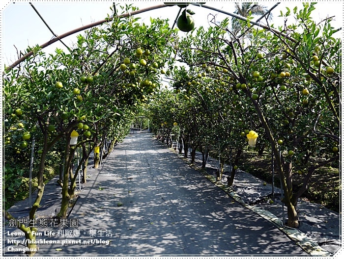 20251027_-287 20251027_-287