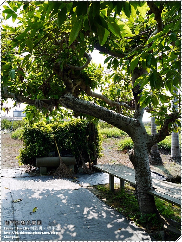 20251027_-288 20251027_-288