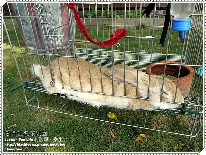 20251027_-295 20251027_-295