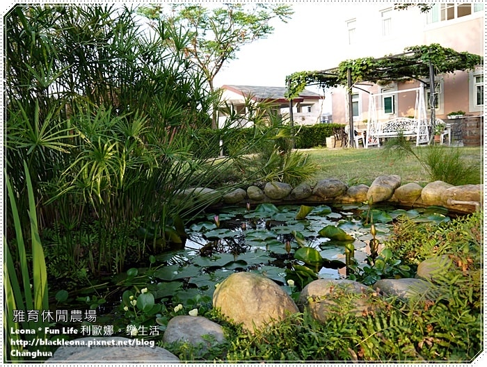 20251027_-299 20251027_-299