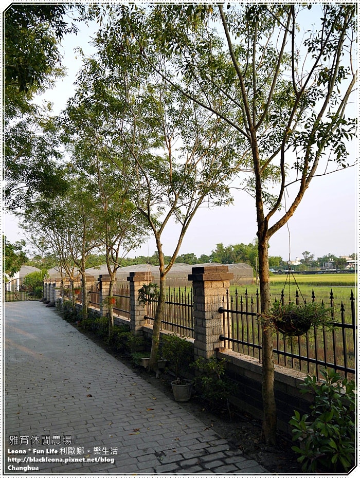 20251027_-306 20251027_-306