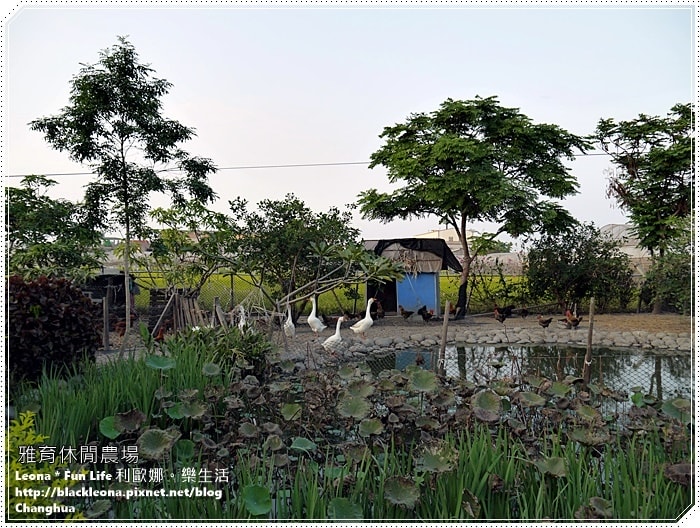 20251027_-308 20251027_-308