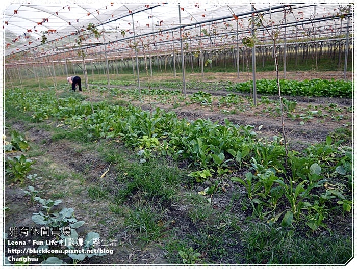 20251027_-310 20251027_-310