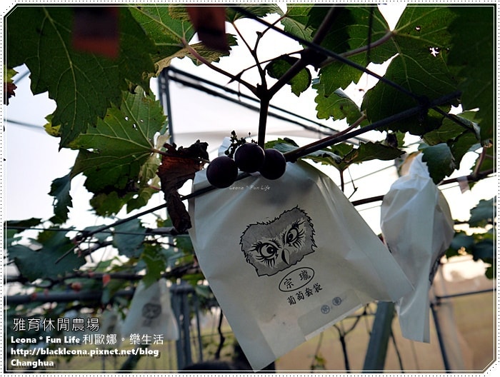 20251027_-311 20251027_-311