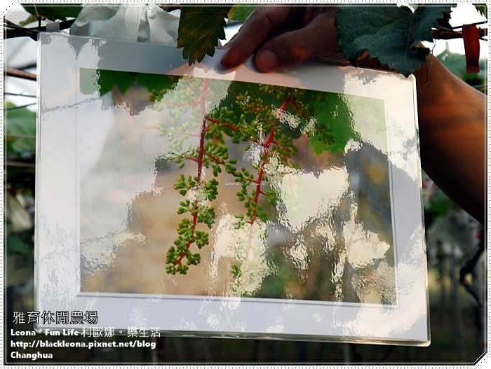 20251027_-312 20251027_-312