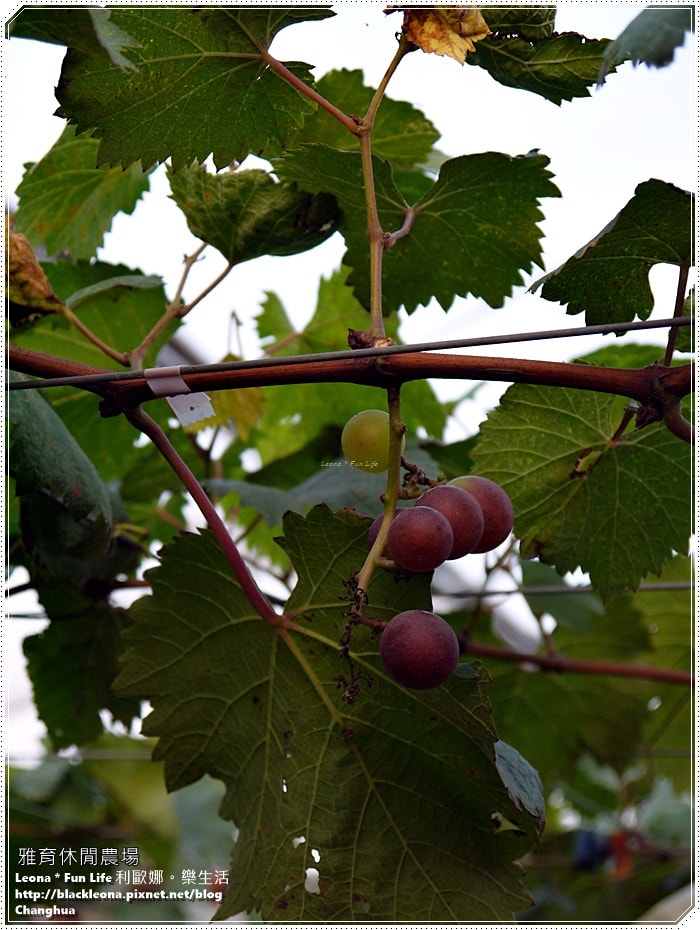 20251027_-313 20251027_-313