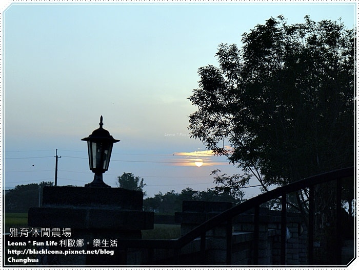 20251027_-314 20251027_-314