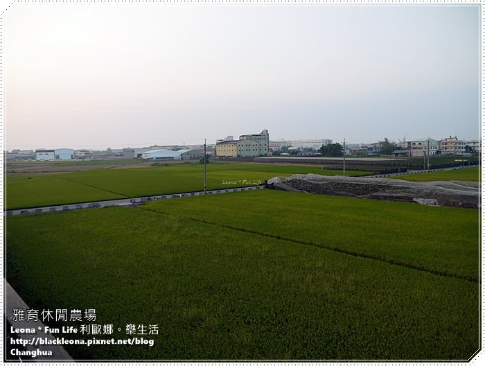 20251027_-318 20251027_-318