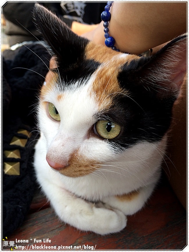 20251027_-362 20251027_-362