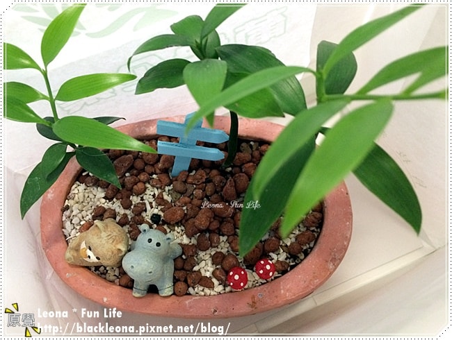 20251027_-363 20251027_-363