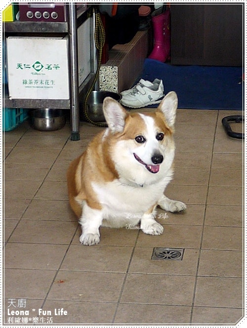 20251027_-58 20251027_-58