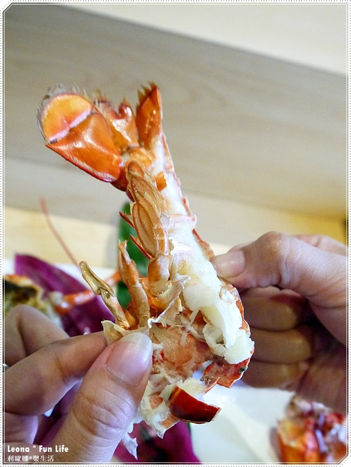 20251027_-283 20251027_-283