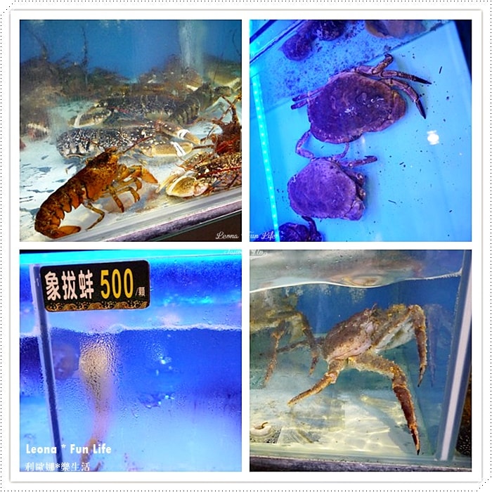 20251027_-59 20251027_-59