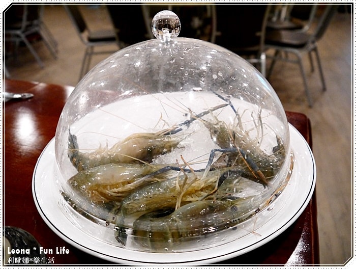 20251027_-81 20251027_-81