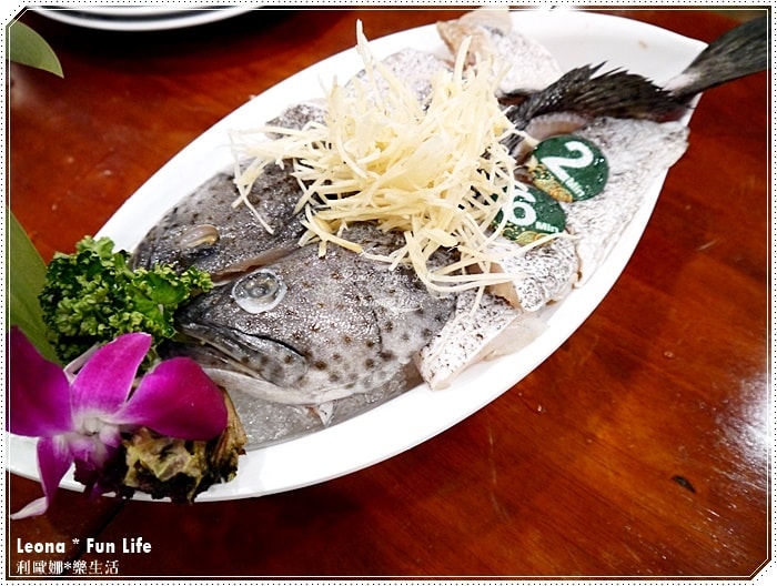 20251027_-87 20251027_-87