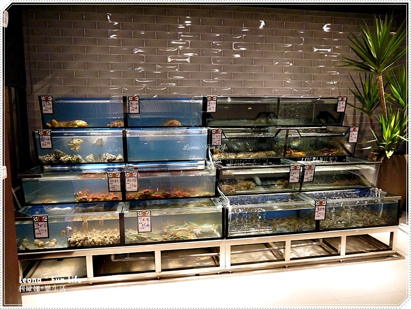 20251027_-218 20251027_-218