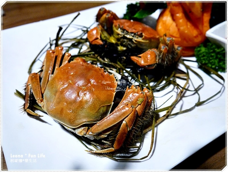 20251027_-241 20251027_-241