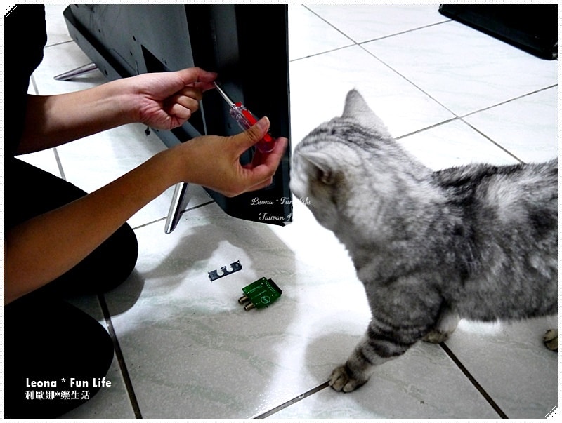 20251027_-277 20251027_-277