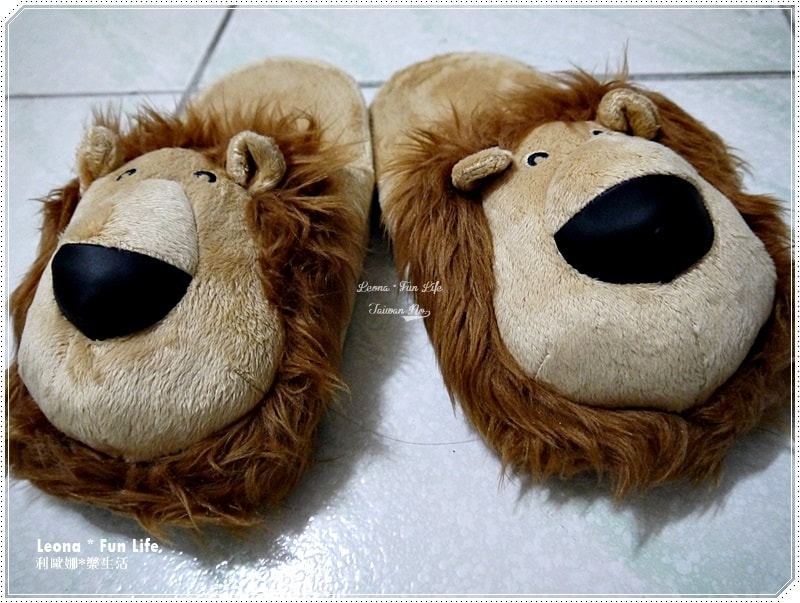 20251027_-294 20251027_-294