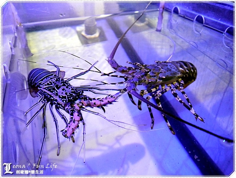 20251027_-179 20251027_-179