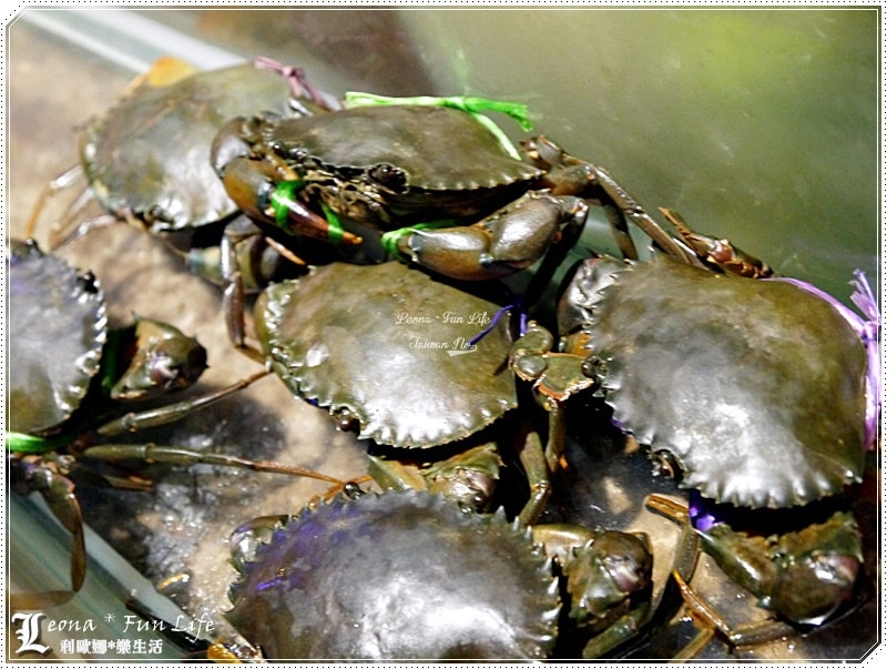 20251027_-181 20251027_-181