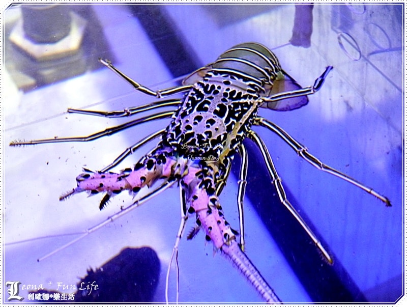 20251027_-217 20251027_-217