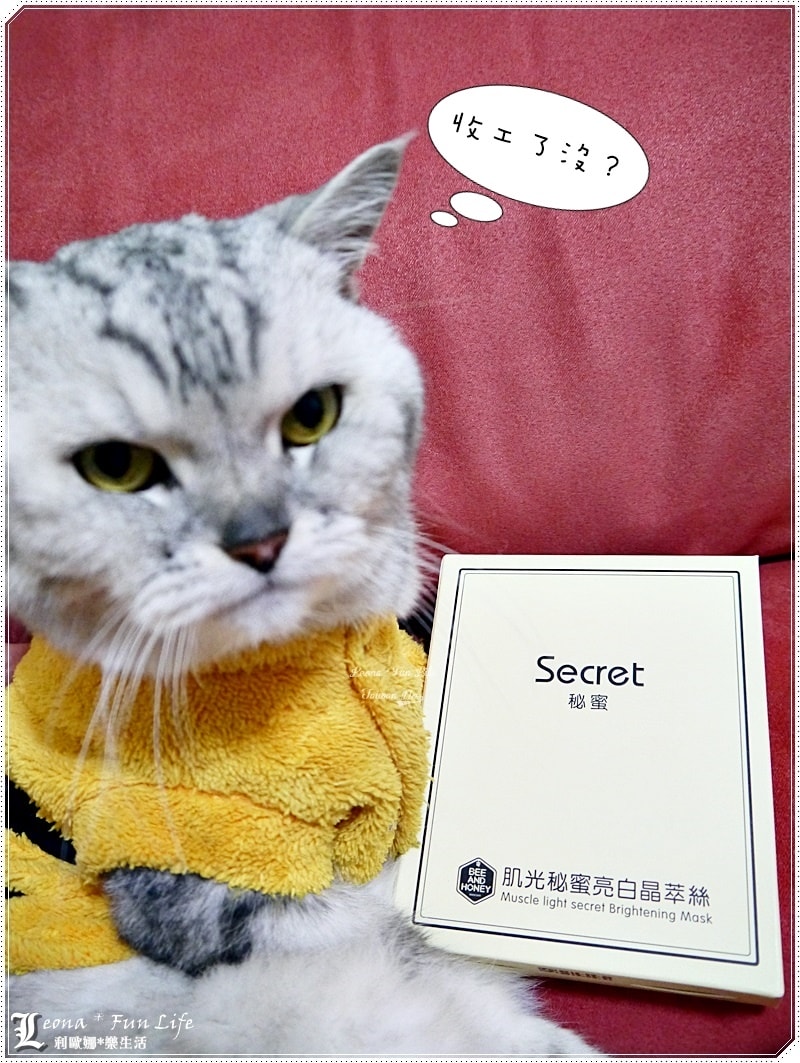 20251027_-252 20251027_-252