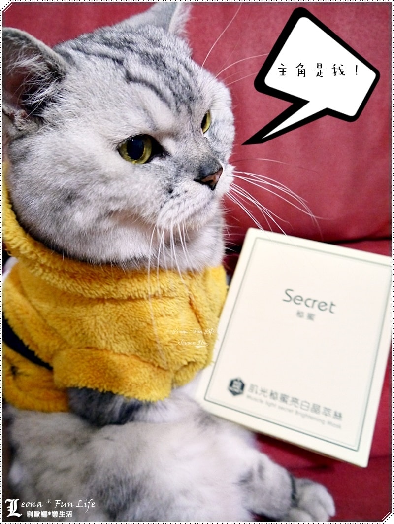 20251027_-253 20251027_-253