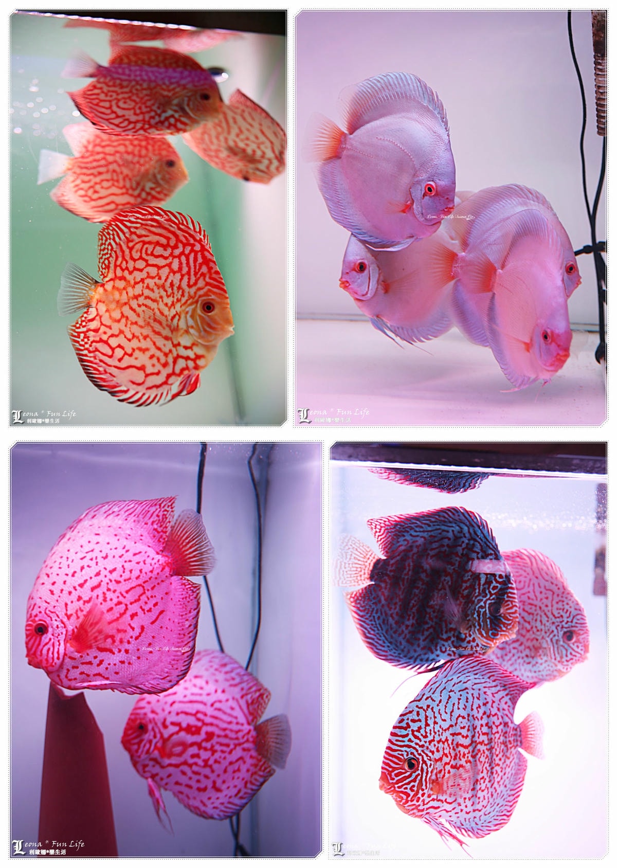 20251027_-392 20251027_-392