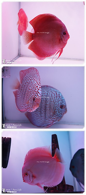 20251027_-393 20251027_-393