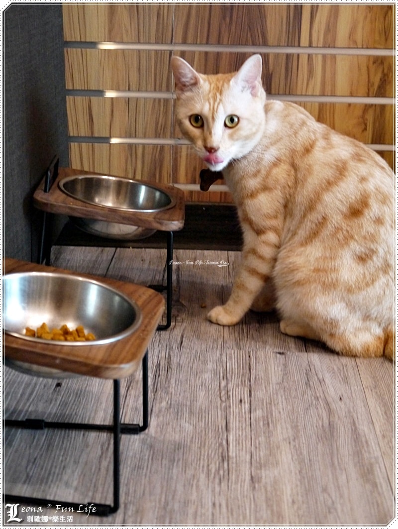 20251027_-77 20251027_-77