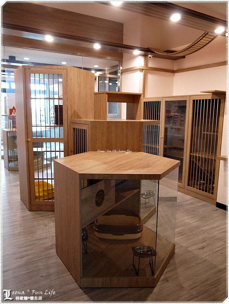 20251027_-84 20251027_-84