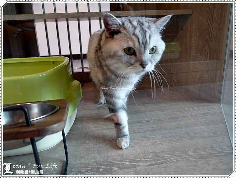 20251027_-87 20251027_-87