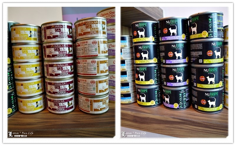 20251027_-88 20251027_-88