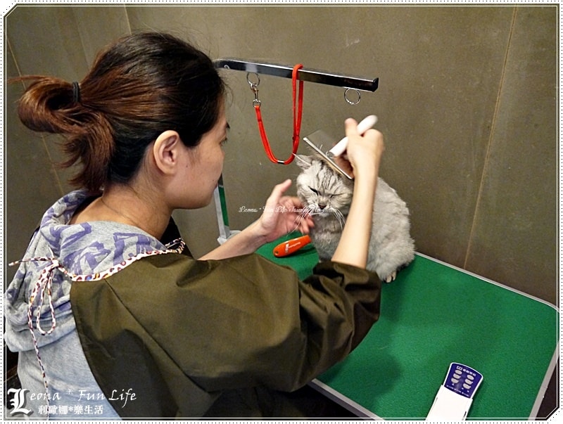 20251027_-95 20251027_-95