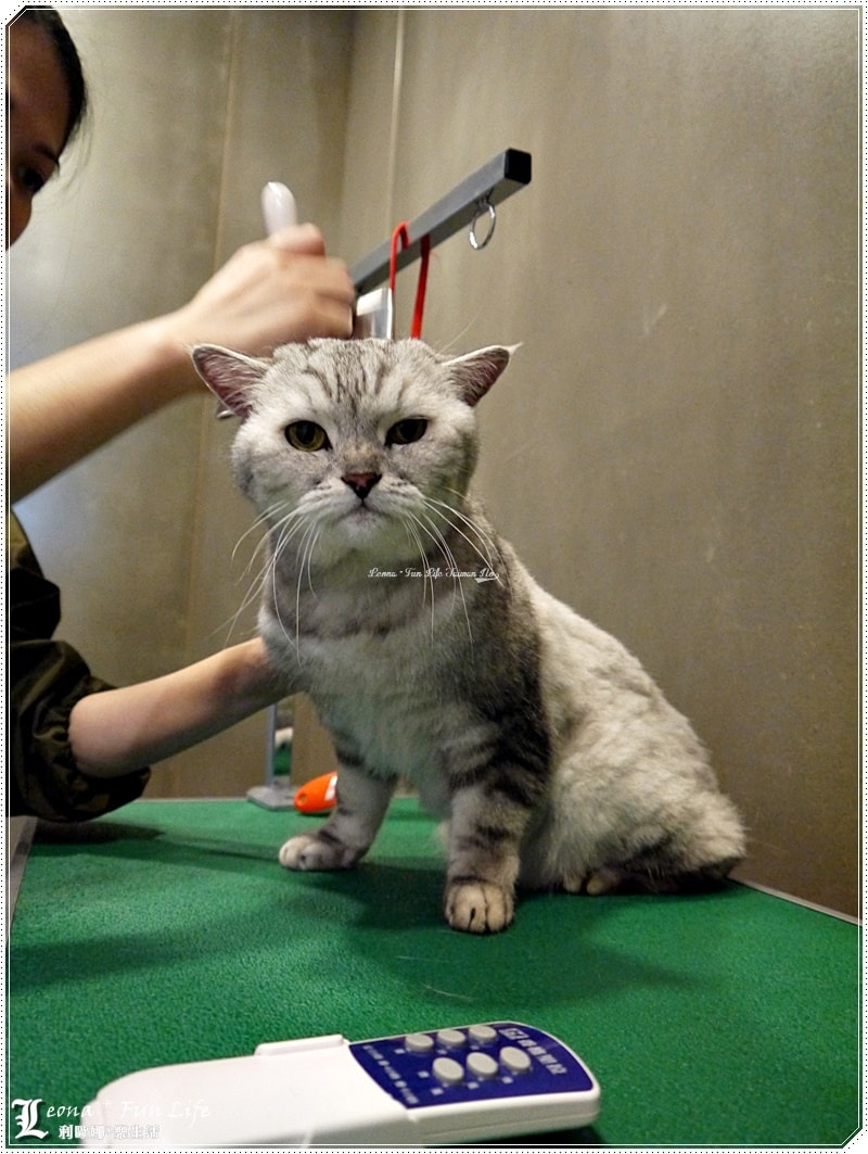 20251027_-96 20251027_-96